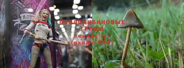 экстази Покровск